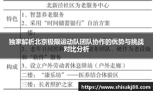 独家解析北京极限运动队团队协作的优势与挑战对比分析
