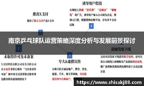 南京乒乓球队运营策略深度分析与发展前景探讨
