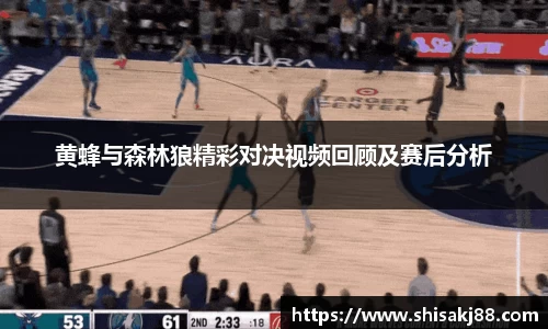 黄蜂与森林狼精彩对决视频回顾及赛后分析